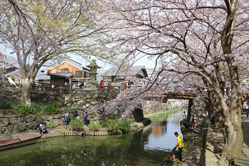 IMG_0834.jpg IMG_0834.jpg