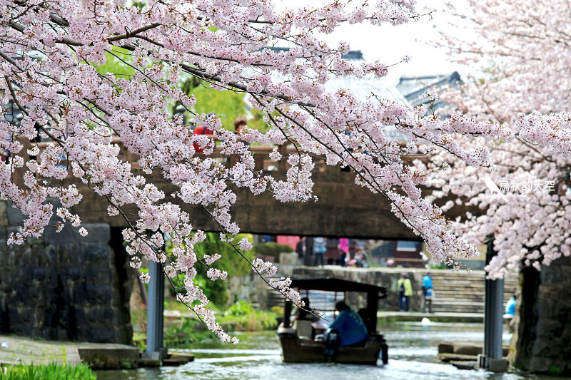 IMG_0833.jpg IMG_0833.jpg