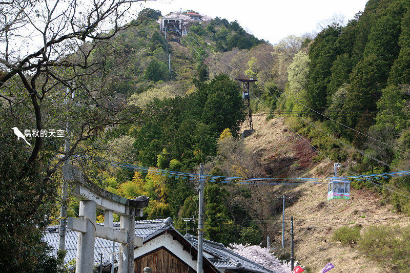 IMG_0846.jpg IMG_0846.jpg