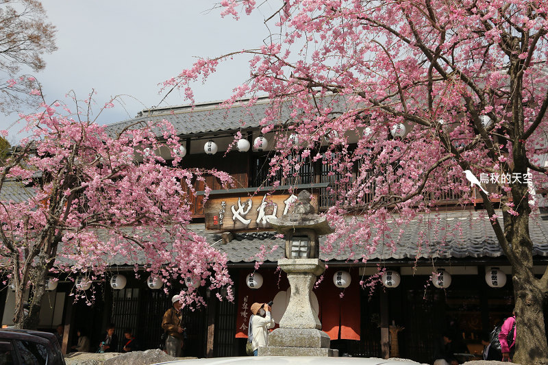 IMG_0852.jpg IMG_0852.jpg