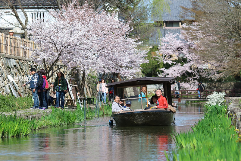 IMG_0880.jpg IMG_0880.jpg