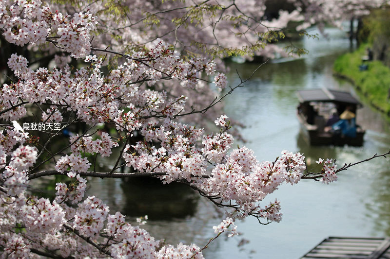 IMG_0888.jpg IMG_0888.jpg