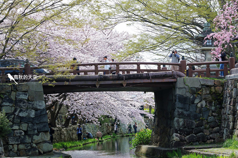 IMG_0926.jpg IMG_0926.jpg