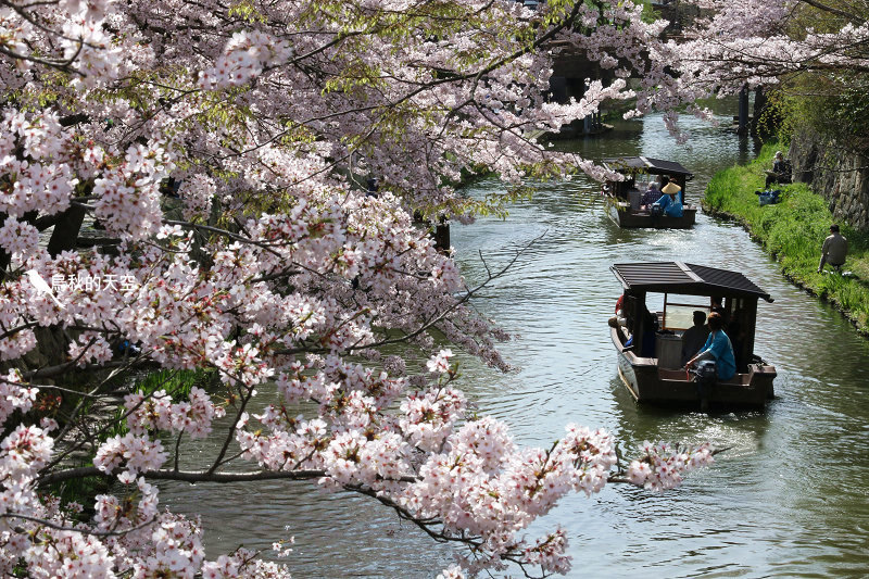 IMG_0892.jpg IMG_0892.jpg