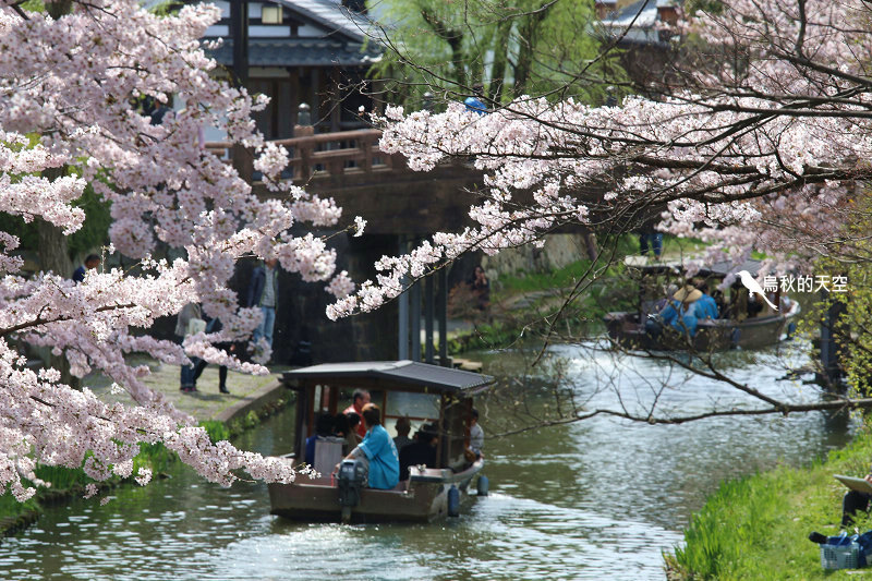 IMG_0899.jpg IMG_0899.jpg