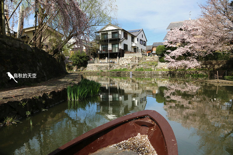 IMG_0953.jpg IMG_0953.jpg