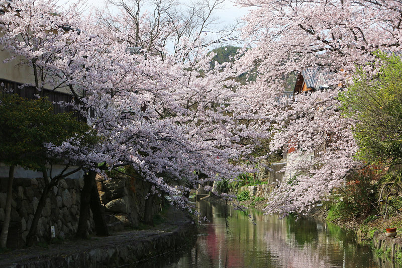 IMG_0960.jpg IMG_0960.jpg