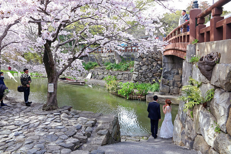 IMG_0971.jpg IMG_0971.jpg