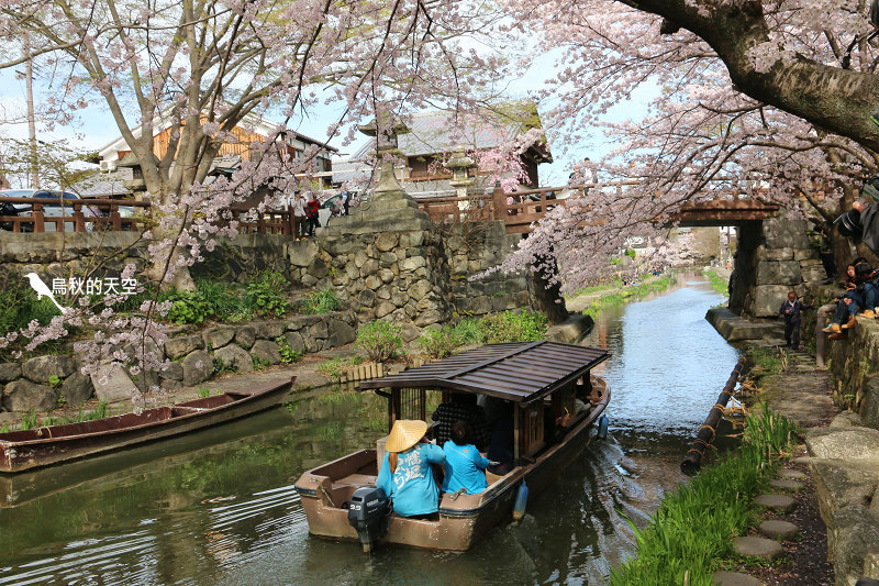 IMG_0984.jpg IMG_0984.jpg