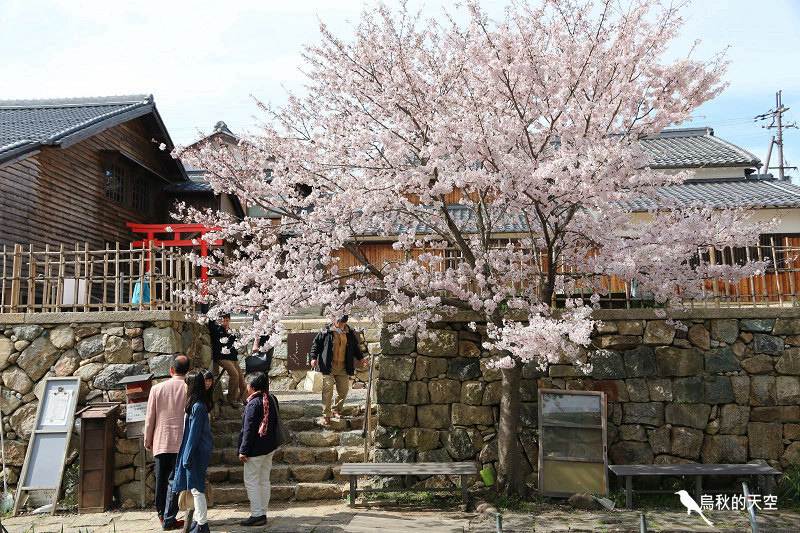 IMG_0968.jpg IMG_0968.jpg