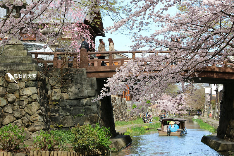 IMG_0990.jpg IMG_0990.jpg