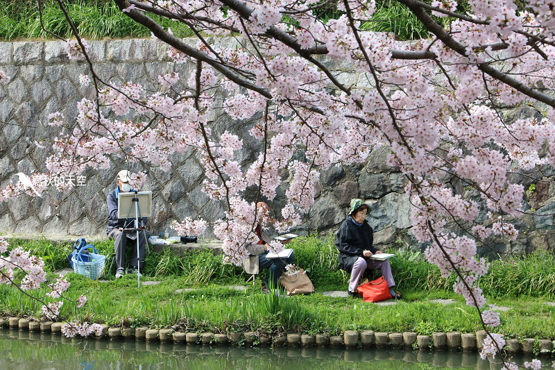 IMG_0997.jpg IMG_0997.jpg