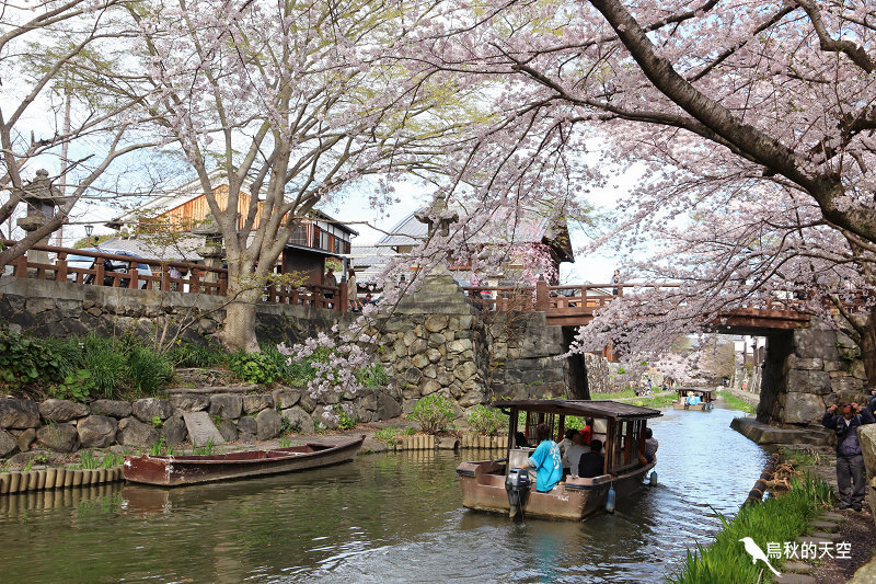 IMG_0993.jpg IMG_0993.jpg