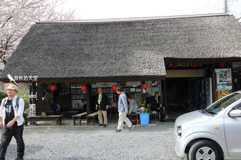 IMG_1003.jpg IMG_1003.jpg