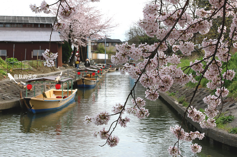 IMG_1011.jpg IMG_1011.jpg