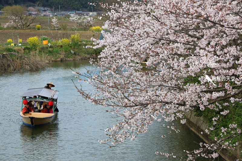 IMG_1017.jpg IMG_1017.jpg