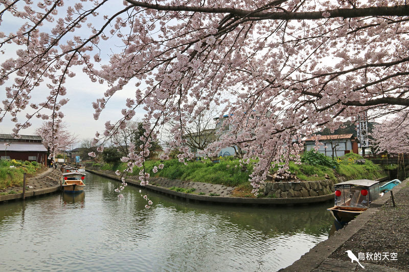 IMG_1013.jpg IMG_1013.jpg