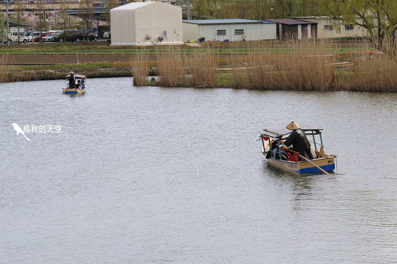 IMG_1028.jpg IMG_1028.jpg