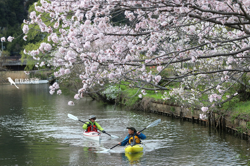 IMG_1039.jpg IMG_1039.jpg