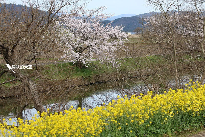 IMG_1048.jpg IMG_1048.jpg