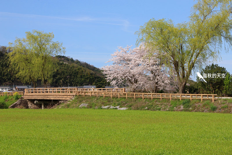 IMG_1053.jpg IMG_1053.jpg