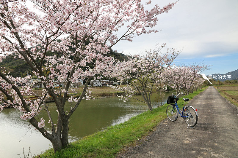 IMG_1051.jpg IMG_1051.jpg