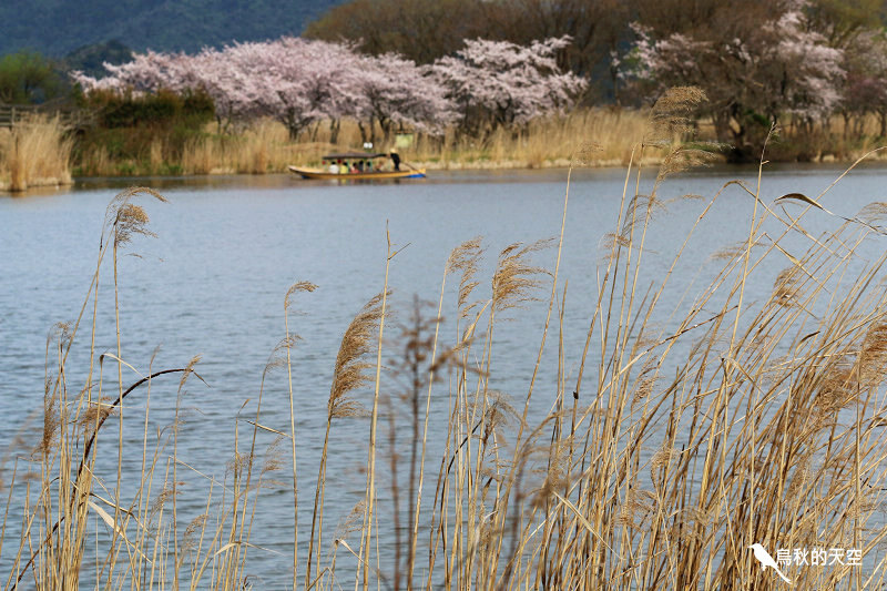 IMG_1059.jpg IMG_1059.jpg