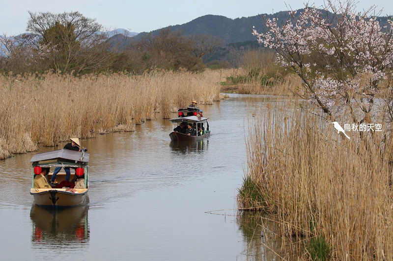 IMG_1076.jpg IMG_1076.jpg