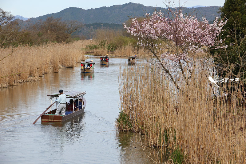 IMG_1067.jpg IMG_1067.jpg