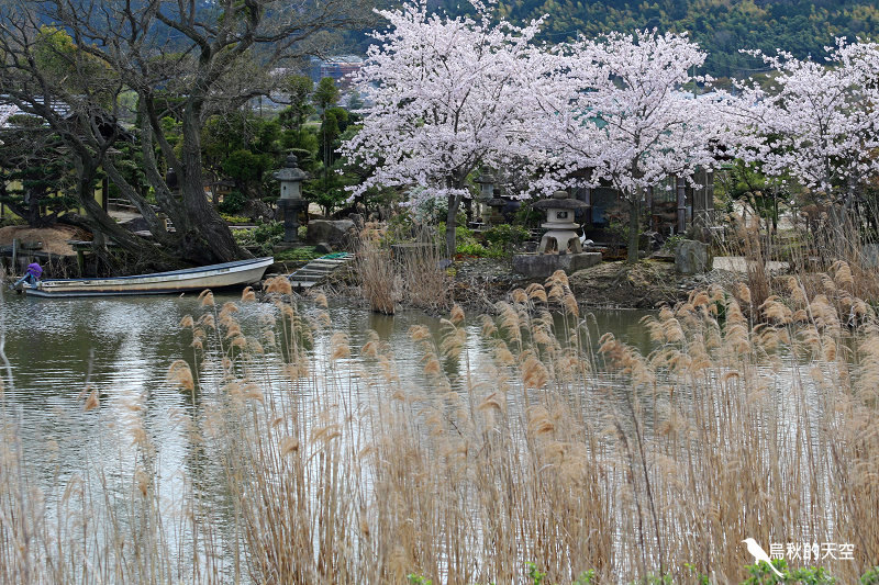 IMG_1102.jpg IMG_1102.jpg