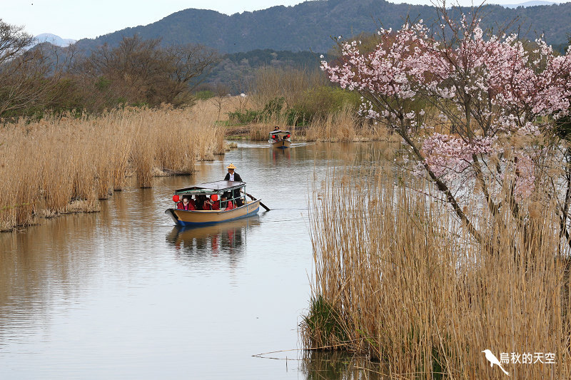 IMG_1094.jpg IMG_1094.jpg