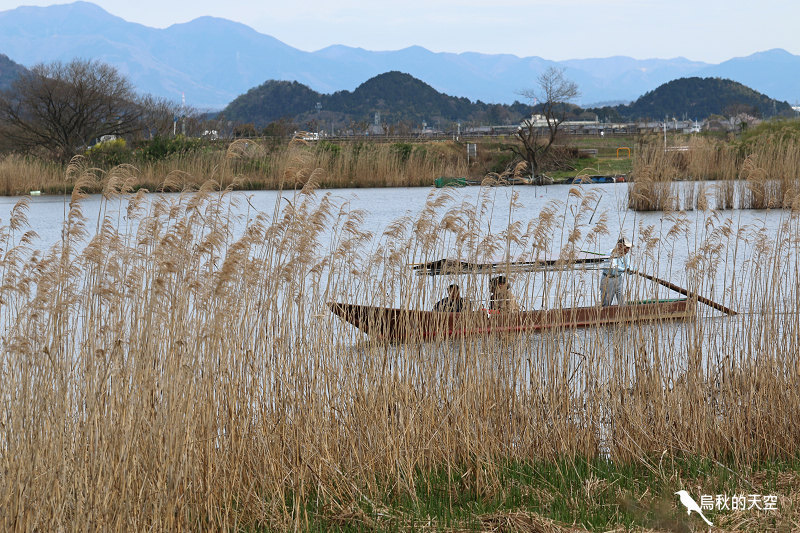 IMG_1105.jpg IMG_1105.jpg