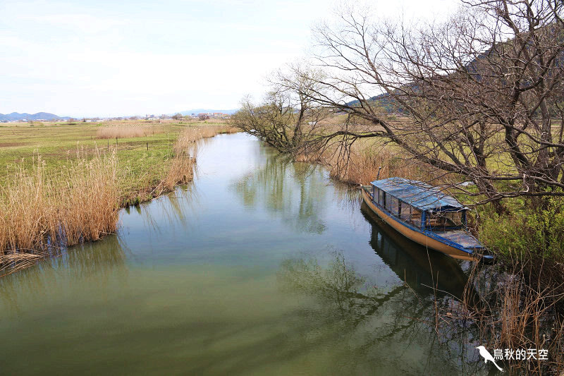 IMG_1131.jpg IMG_1131.jpg