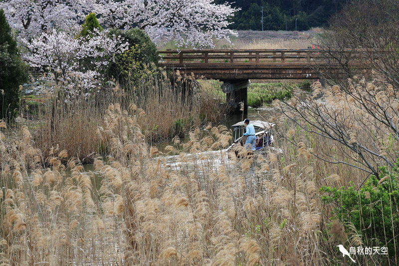 IMG_1117.jpg IMG_1117.jpg