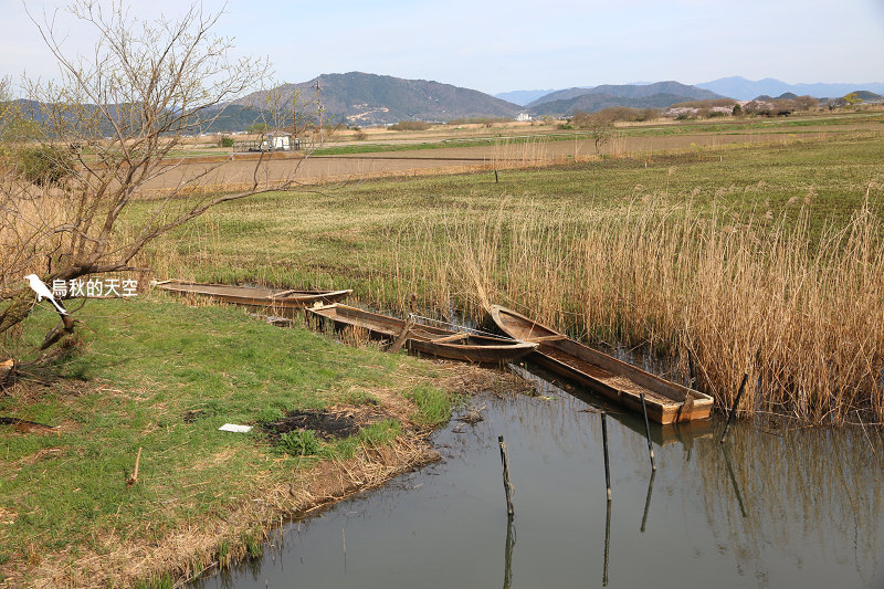 IMG_1133.jpg IMG_1133.jpg