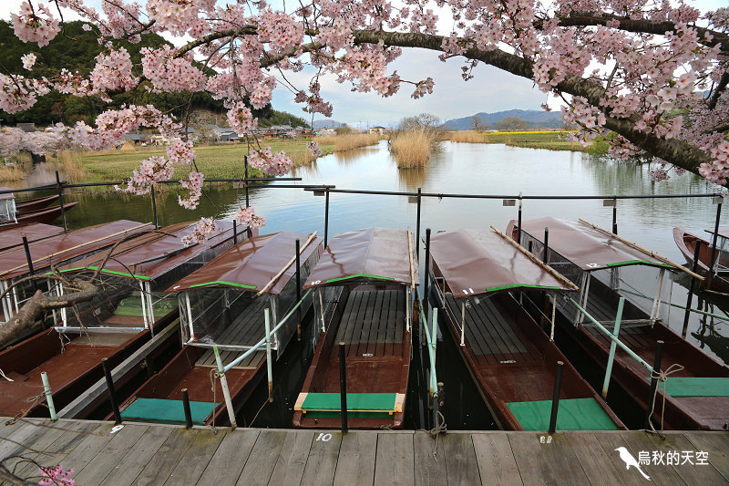 IMG_1139.jpg IMG_1139.jpg