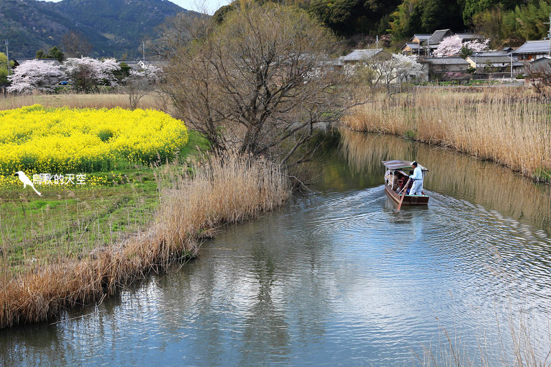 IMG_1150.jpg IMG_1150.jpg