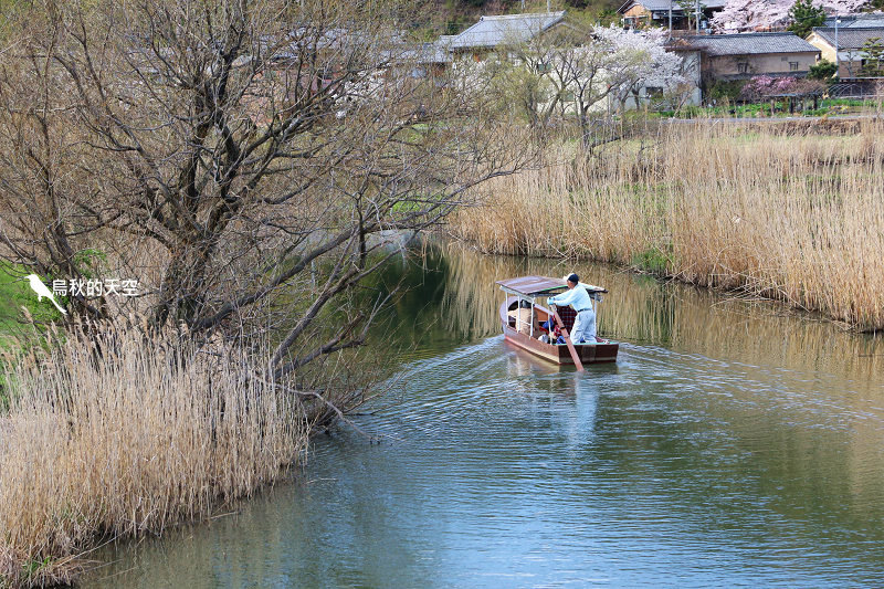 IMG_1152.jpg IMG_1152.jpg