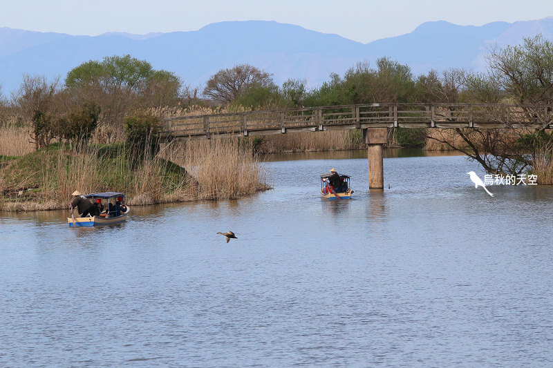 IMG_1153.jpg IMG_1153.jpg