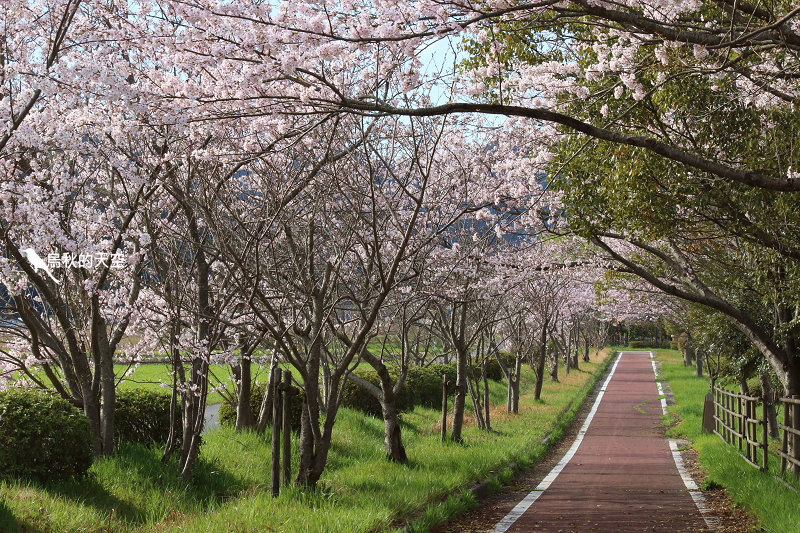 IMG_1159.jpg IMG_1159.jpg