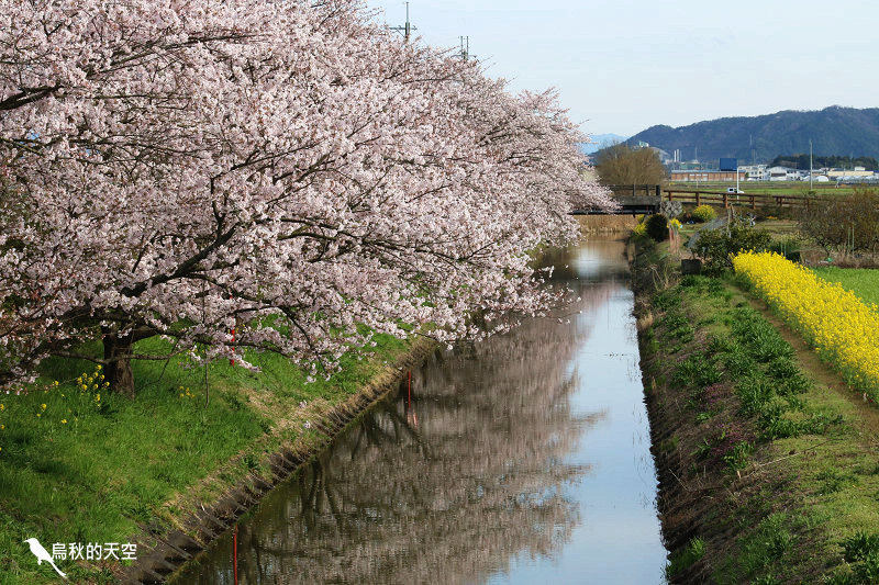 IMG_1161.jpg IMG_1161.jpg