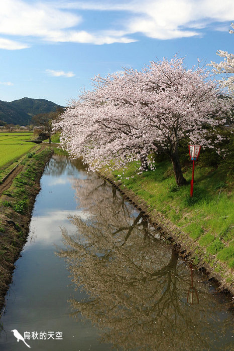 IMG_1164.jpg IMG_1164.jpg