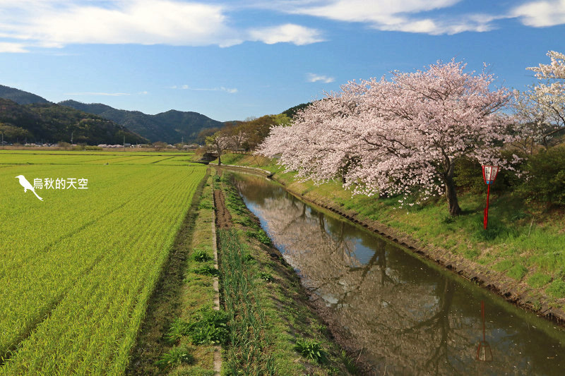 IMG_1183.jpg IMG_1183.jpg