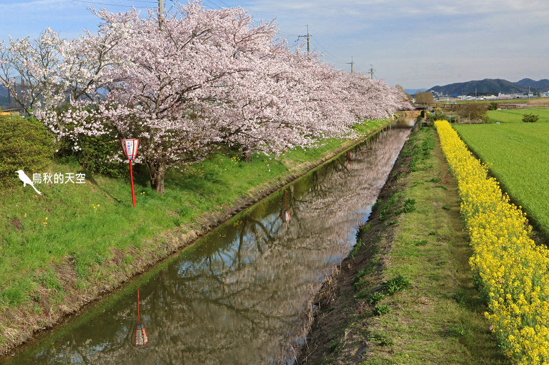 IMG_1177.jpg IMG_1177.jpg