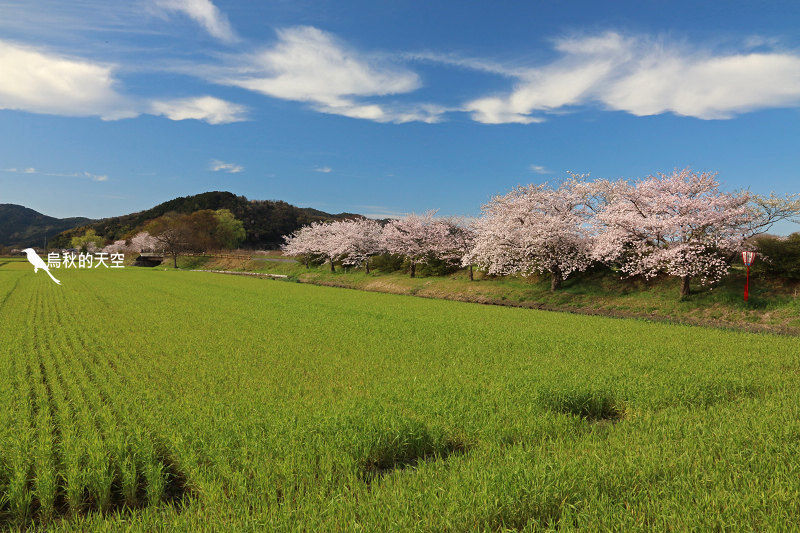 IMG_1187.jpg IMG_1187.jpg