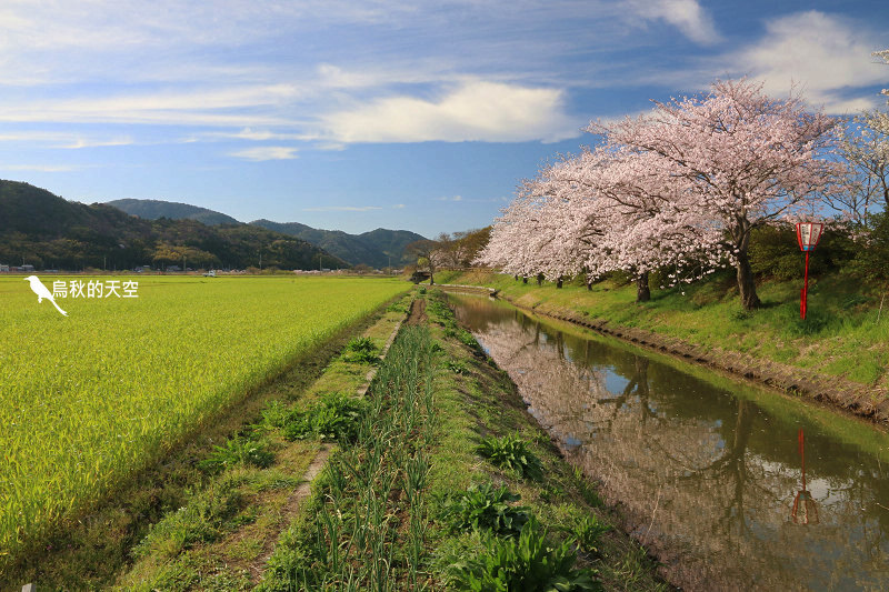 IMG_1191.jpg IMG_1191.jpg