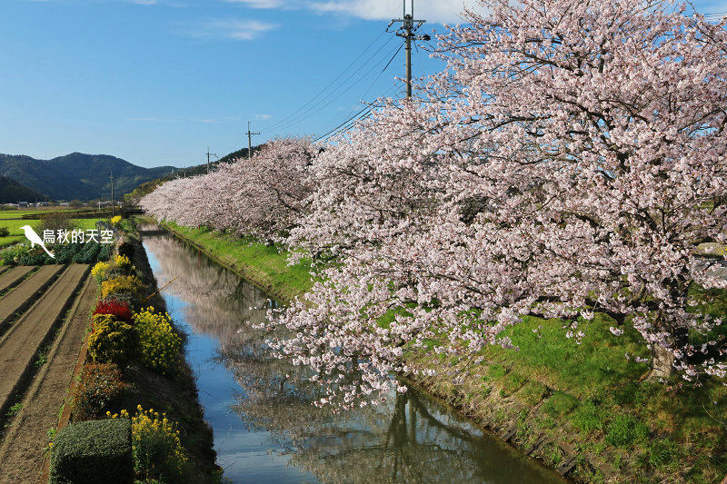 IMG_1201.jpg IMG_1201.jpg