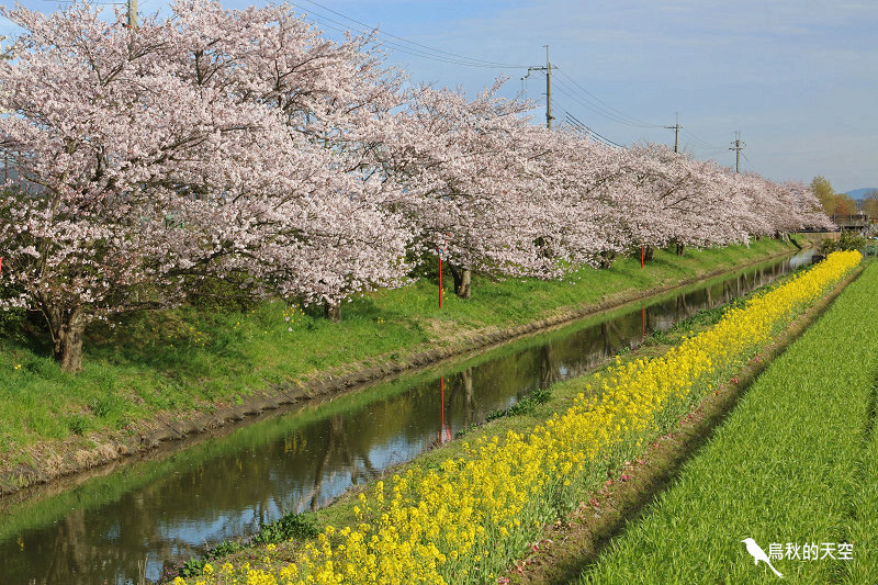 IMG_1198.jpg IMG_1198.jpg