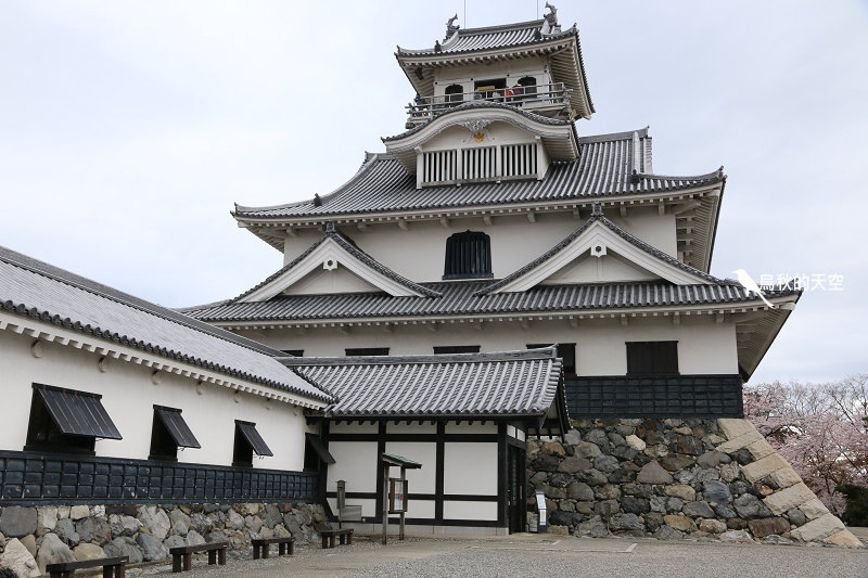 IMG_9983.jpg IMG_9983.jpg