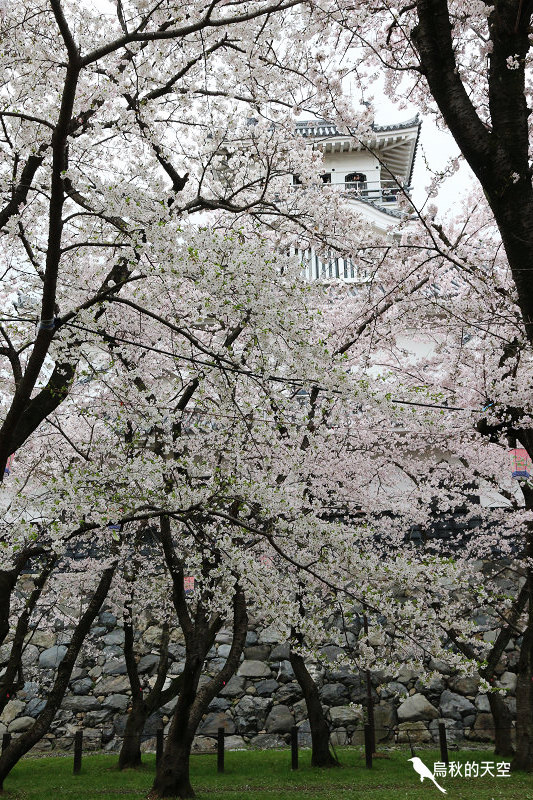 IMG_9987.jpg IMG_9987.jpg